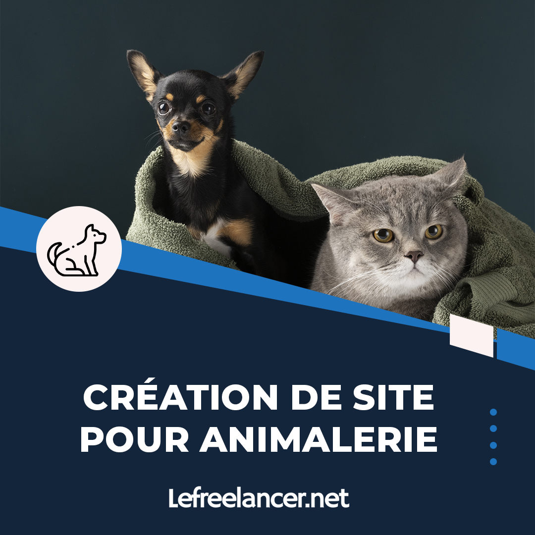 Création De Site Web Clé En Main Pour Animalerie