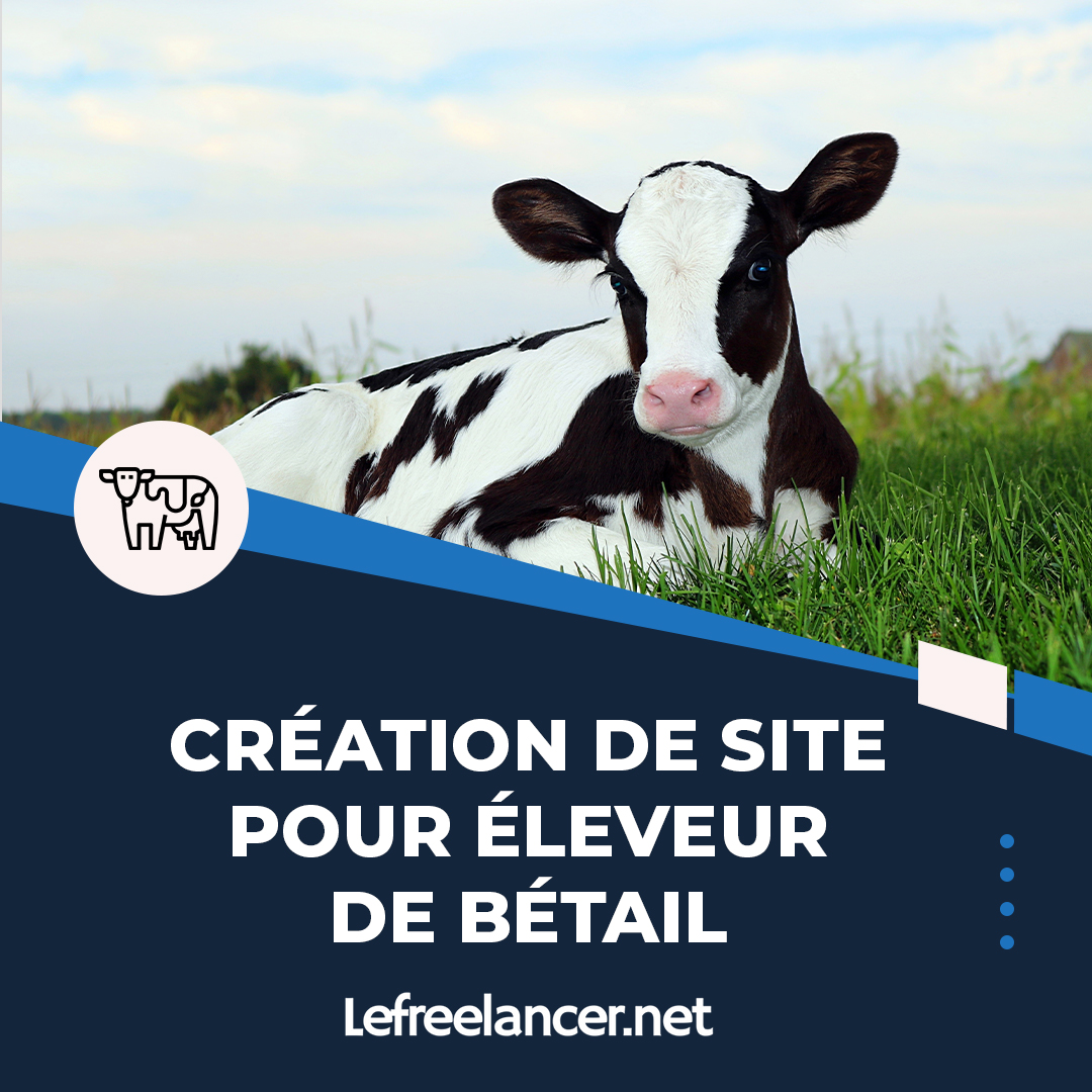 Création De Site Web Clé En Main Pour éleveur De Bétails