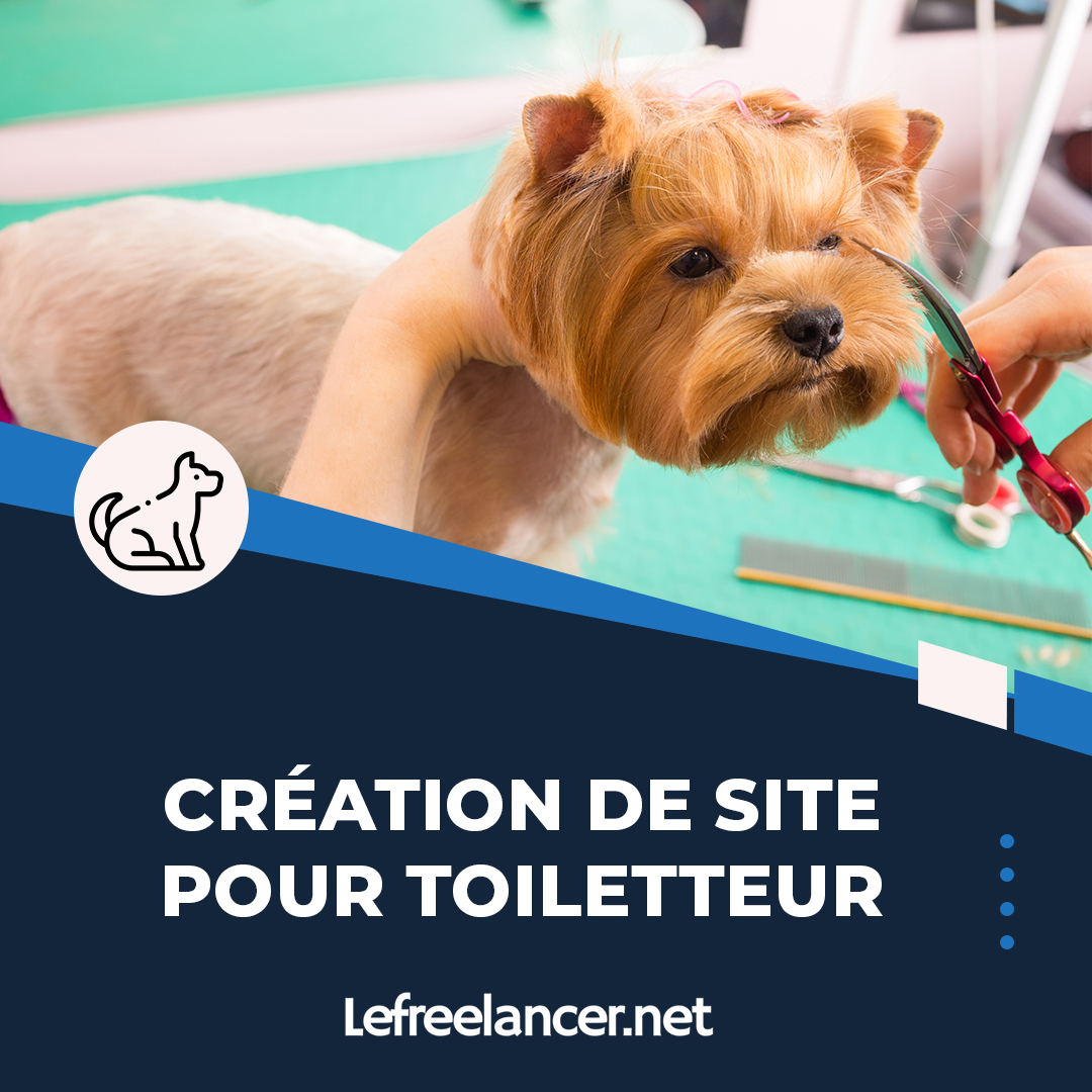 Création De Site Web Clé En Main Pour Toiletteur