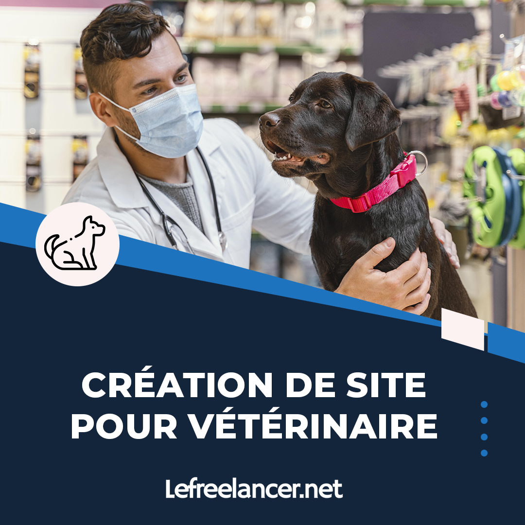 Création De Site Web Clé En Main Pour Vétérinaire